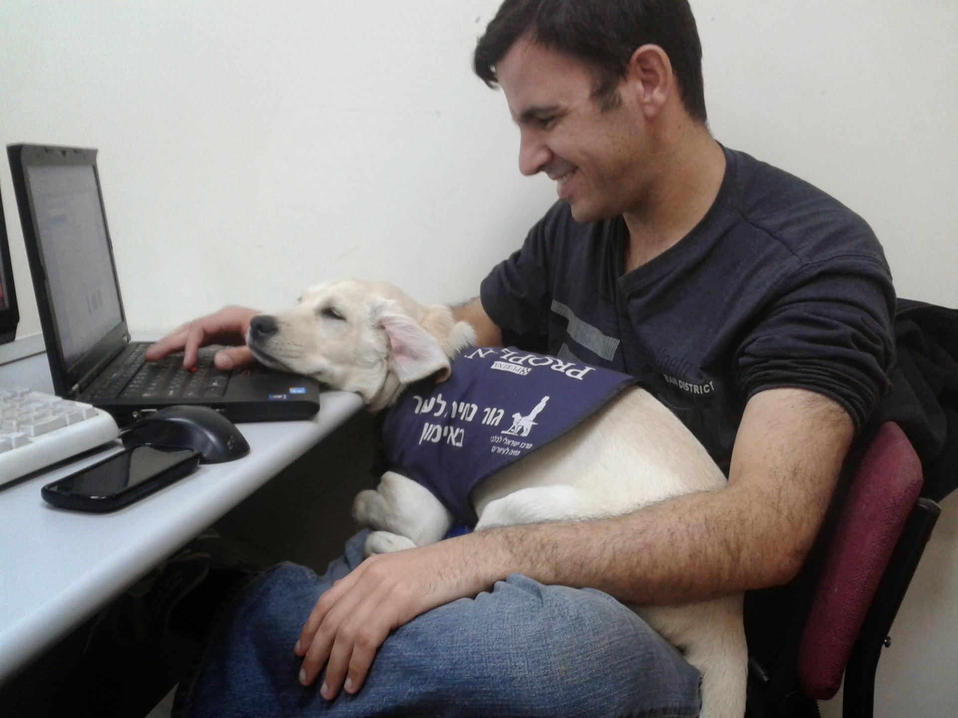 מתכנת עם גורת נחייה